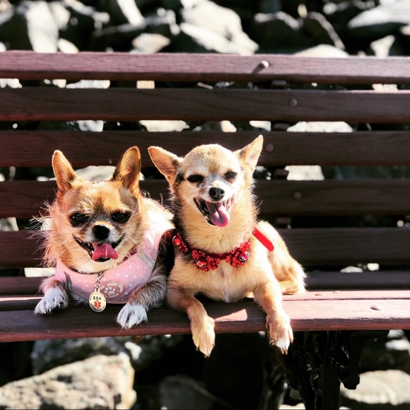 Meet your Posher, Ria - Picture 2 of 8